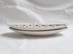 Ravier jaune et noir Gien 456