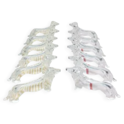 12 repose couteaux vintage plexiglass chien teckel