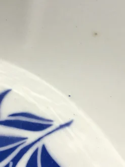 Saladier Digoin Odette grande capacité bleu