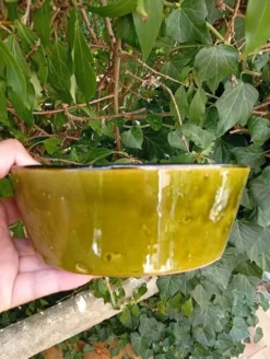 Saladier en céramique vert
