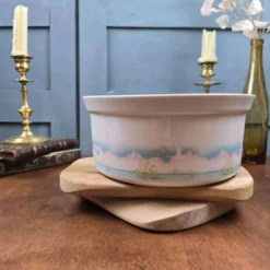 Saladier porcelaine de Sologne décor Camargue oiseaux vintage 23 cm