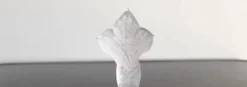 Saleron double forme, poissons entrelacés en verre opaque blanc