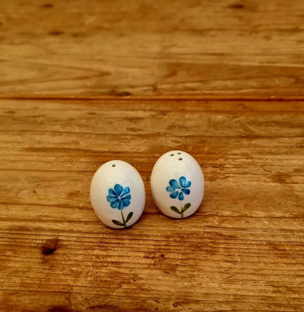 Salière et poivrière vintage en céramique peintes à la main