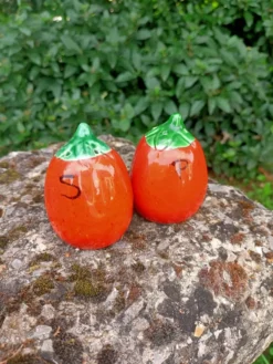 Salière Poivrière