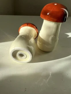 Salière poivrière céramique champignons