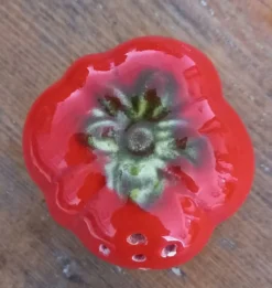 Salière tomate