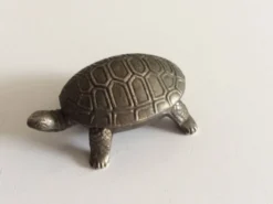 Salière tortue