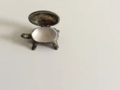 Salière tortue