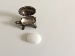 Salière tortue