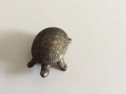 Salière tortue