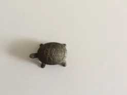 Salière tortue