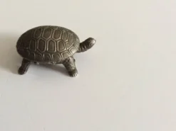 Salière tortue