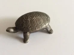 Salière tortue