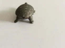 Salière tortue