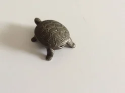 Salière tortue