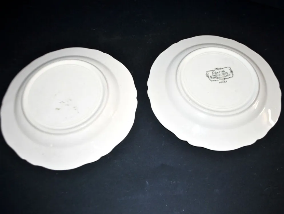 Sarreguemines lot de 2 assiettes à dessert Obernai décor Loux 3 fleurs
