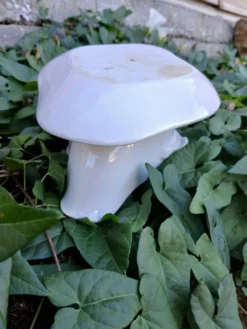 Saucière en faïence blanche
