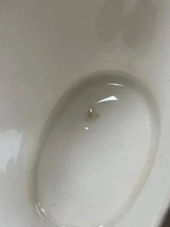 Saucière Gien modèle Tokio