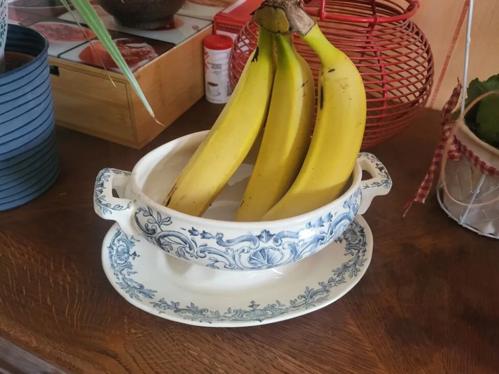 Saucière Longchamp modèle Régent