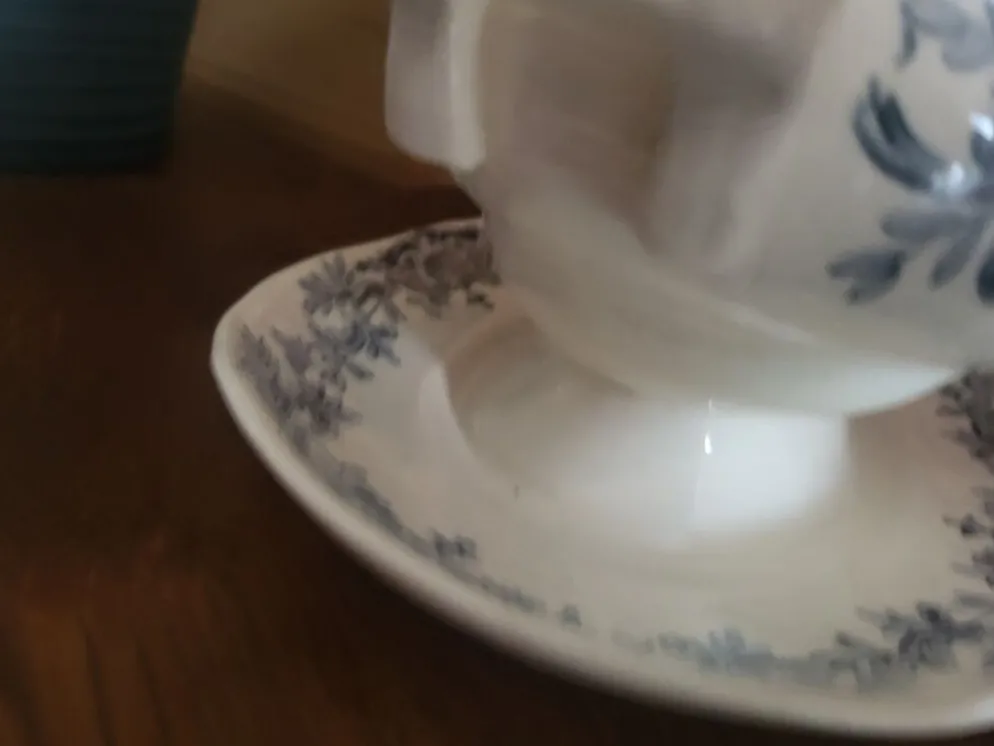 Saucière Longchamp modèle Régent