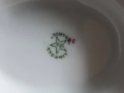Saucière RH porcelaine Limoges