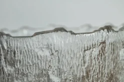 Seau à glace par Tapio Wirkkala pour Iittala, Finlande, années 1970.