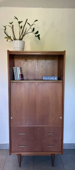 Secrétaire bibliothèque vintage scandinave