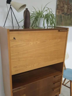 Secrétaire / Bureau deux tons Frantisek Mezulanik pour Up Zavody 1960
