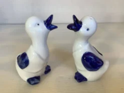 Sel et poivre oiseaux oies canards