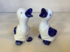 Sel et poivre oiseaux oies canards