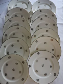 Service ancien – 12 assiettes plates en porcelaine française – décor floral