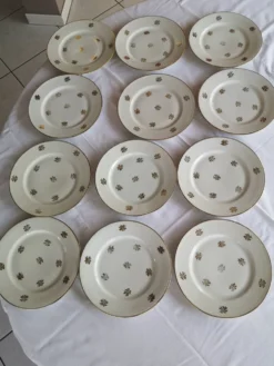 Service ancien – 12 assiettes plates en porcelaine française – décor floral