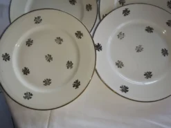 Service ancien – 12 assiettes plates en porcelaine française – décor floral