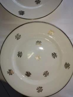 Service ancien – 12 assiettes plates en porcelaine française – décor floral