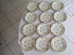 Service ancien – 12 assiettes plates en porcelaine française – décor floral