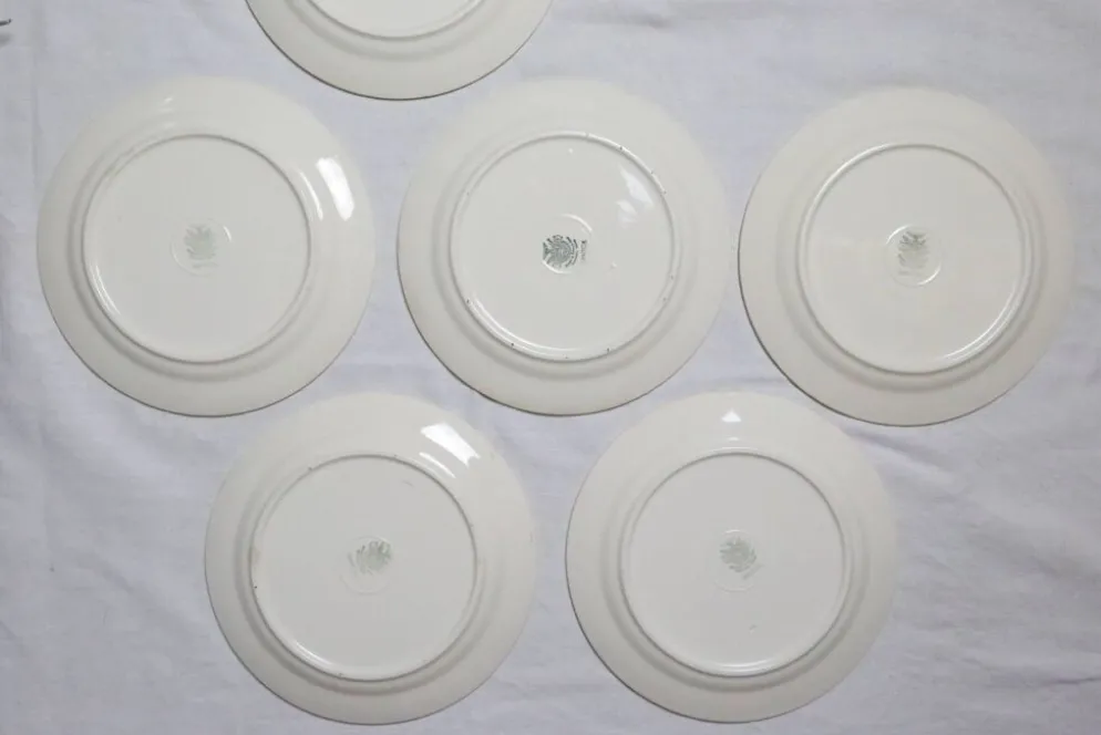Service d'assiettes creuses x6, service Santos, rose, Villeroy et Boch, vintage