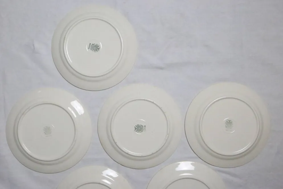 Service d'assiettes creuses x6, service Santos, rose, Villeroy et Boch, vintage