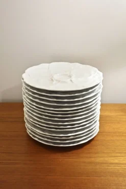 Service d'assiettes à huitres en porcelaine par HutschenReuthen