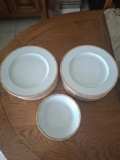 Service de 22 assiettes plates et 6 creuses 