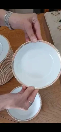 Service de 22 assiettes plates et 6 creuses 
