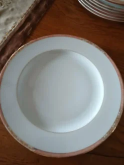 Service de 22 assiettes plates et 6 creuses 