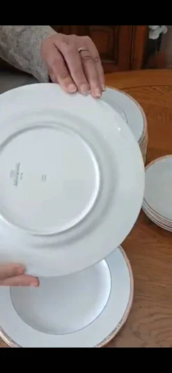 Service de 22 assiettes plates et 6 creuses 