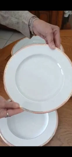 Service de 22 assiettes plates et 6 creuses 