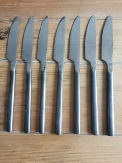 Service de 6 couteaux inox et acier