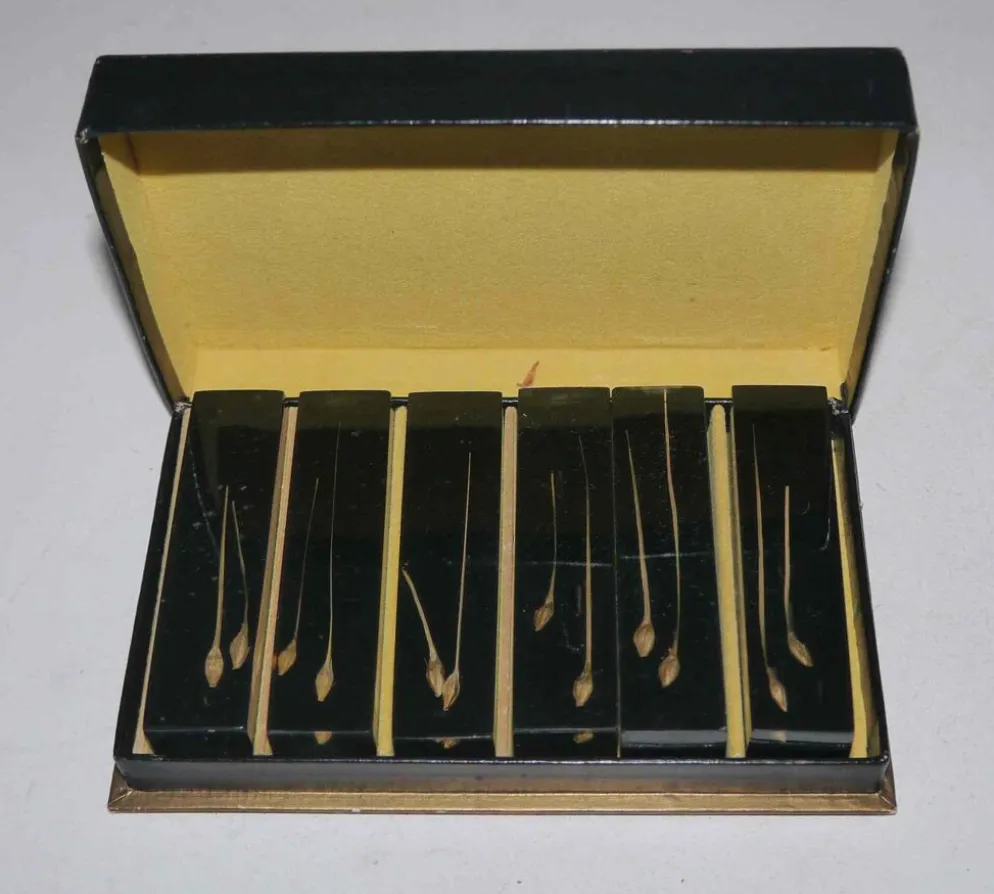 Service de 6 porte couteaux en résine et inclusion années 60's
