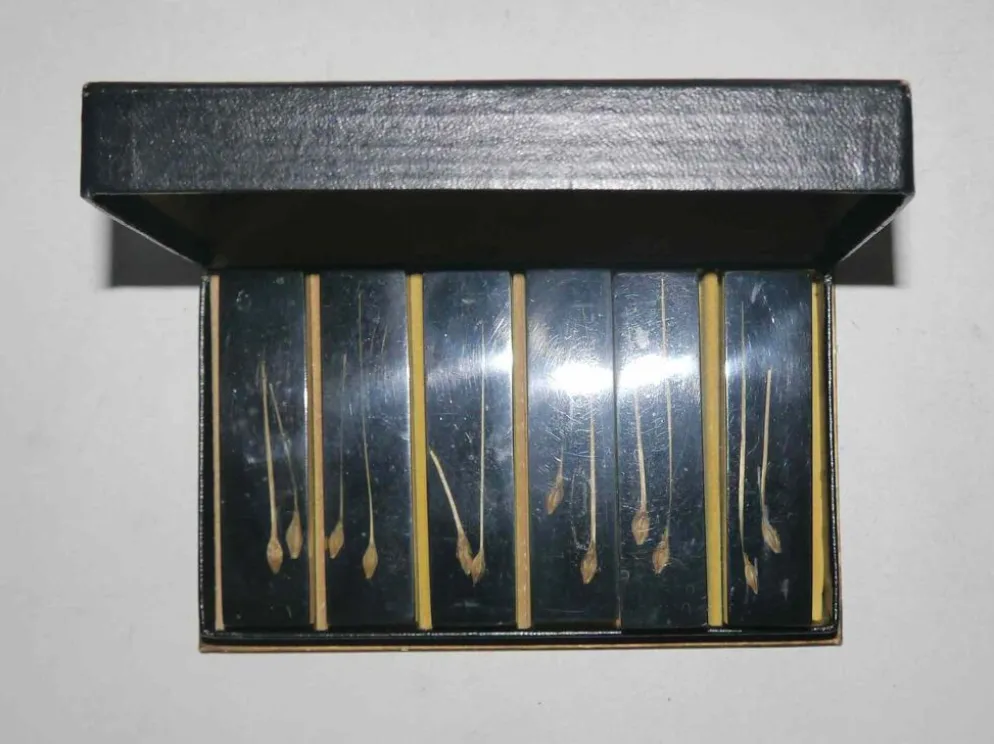 Service de 6 porte couteaux en résine et inclusion années 60's