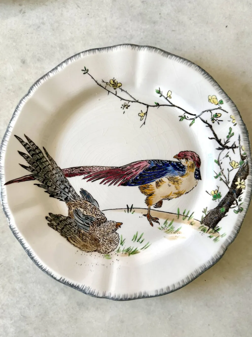 Service de table assiettes et plats Gien modèle grands oiseaux