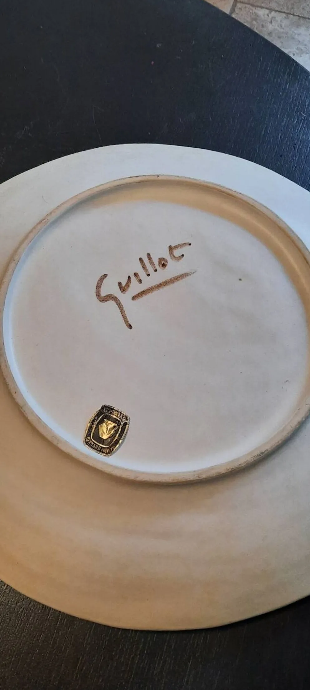 Service Dominique Guillot Vallauris