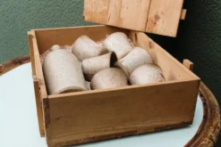 Service en grés, poterie du bois de Laud