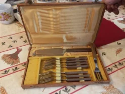 Service à gâteau menagère